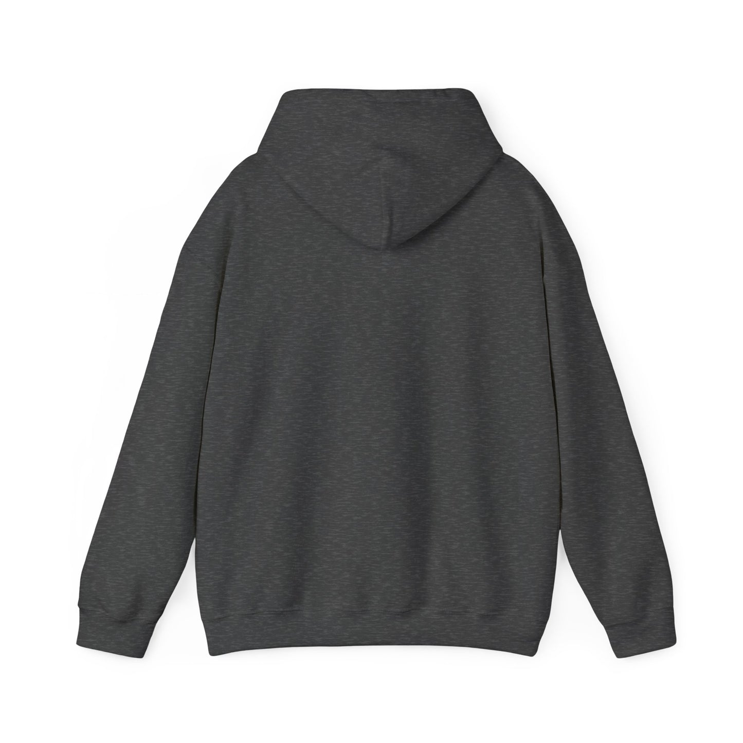 Pinyon Pictures Hoodie