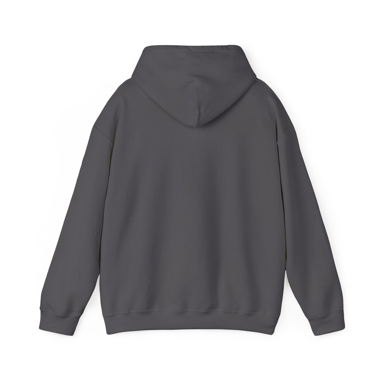 Pinyon Pictures Hoodie
