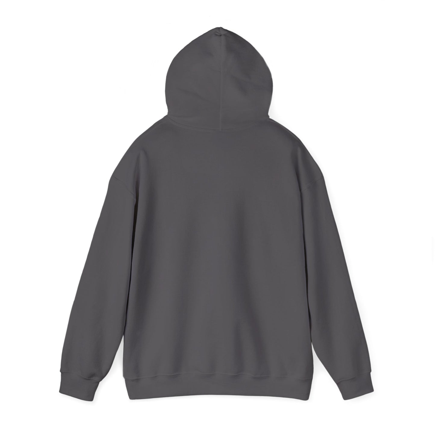 Pinyon Pictures Hoodie
