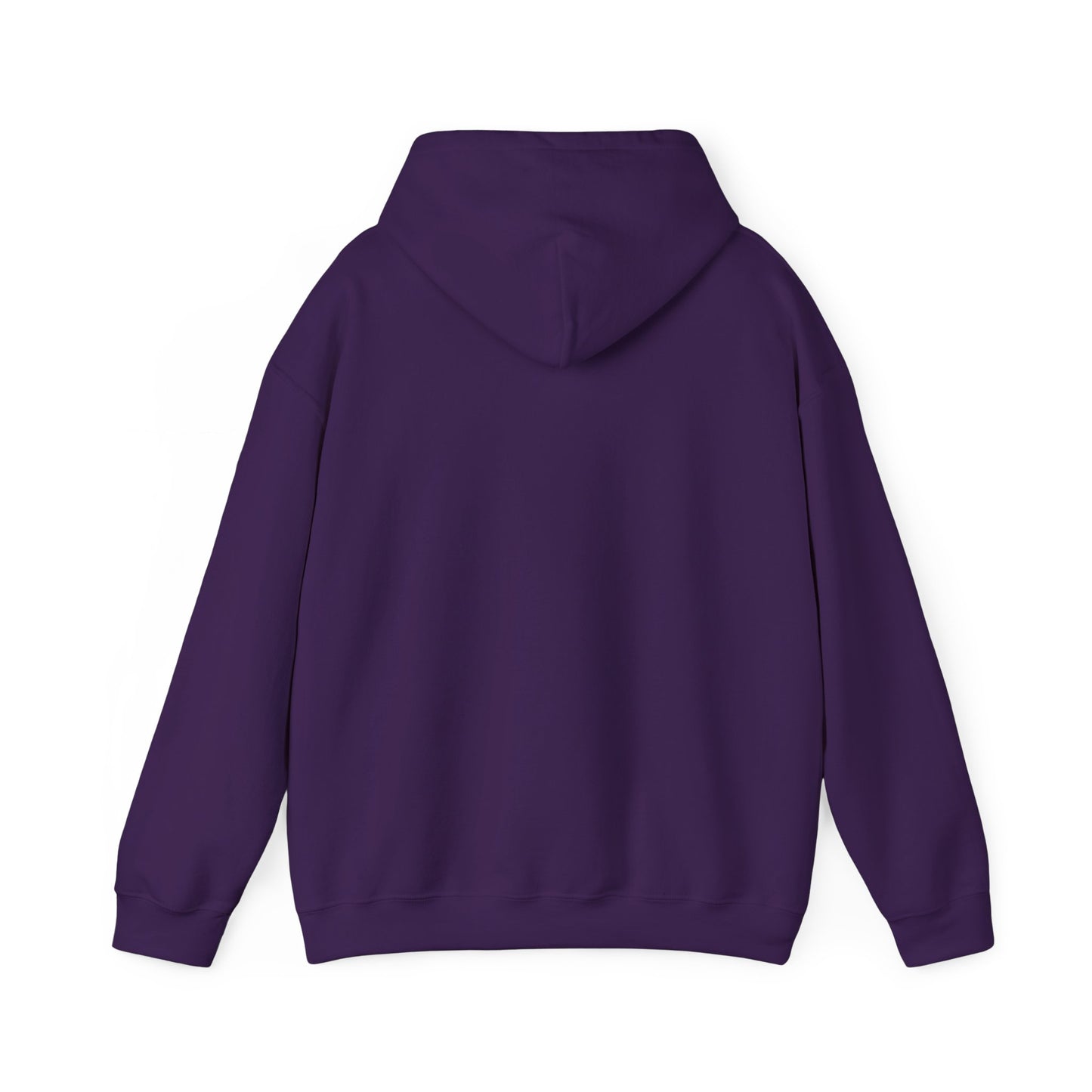 Pinyon Pictures Hoodie