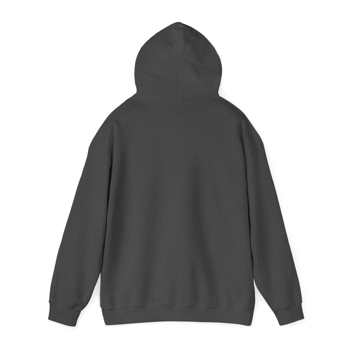 Pinyon Pictures Hoodie