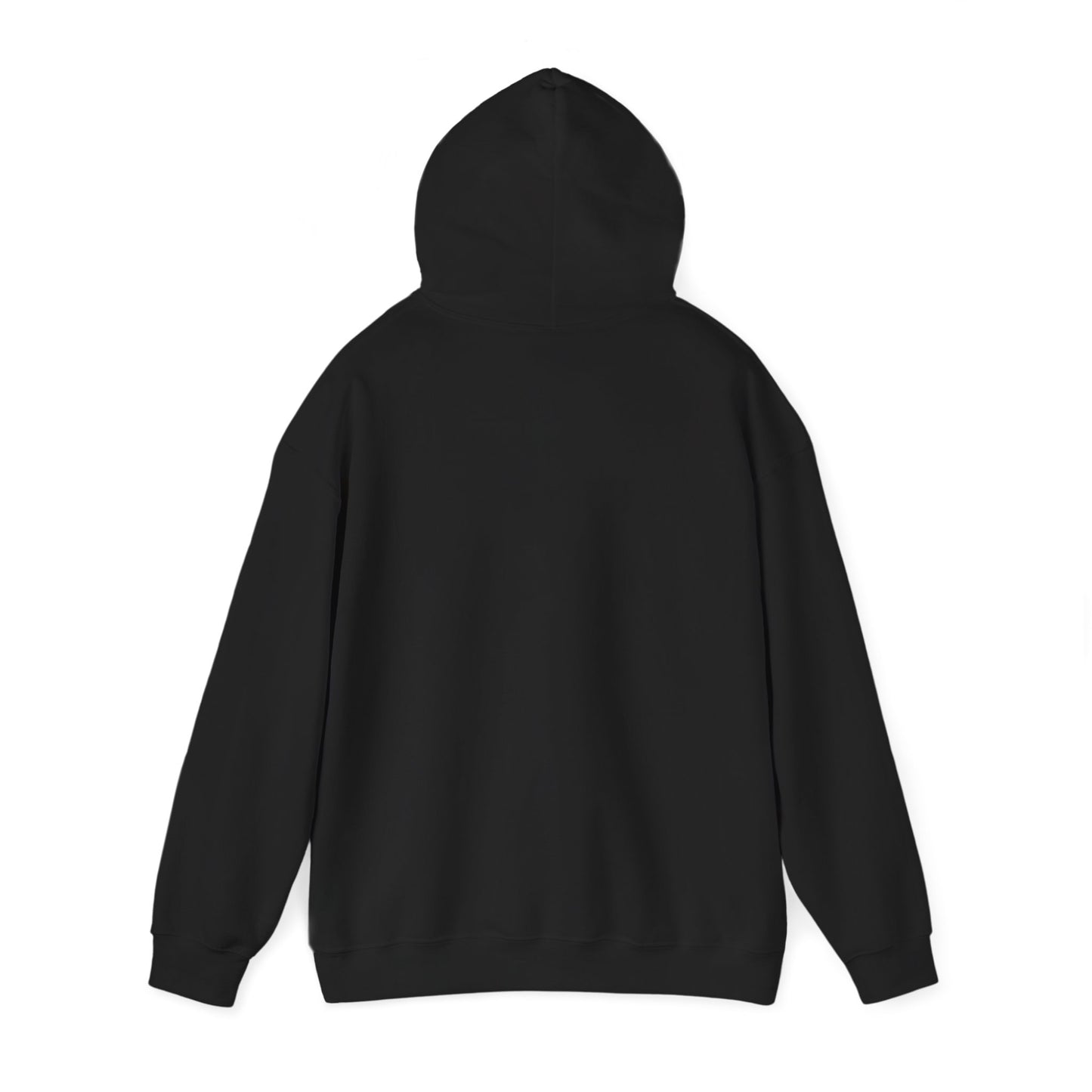 Pinyon Pictures Hoodie