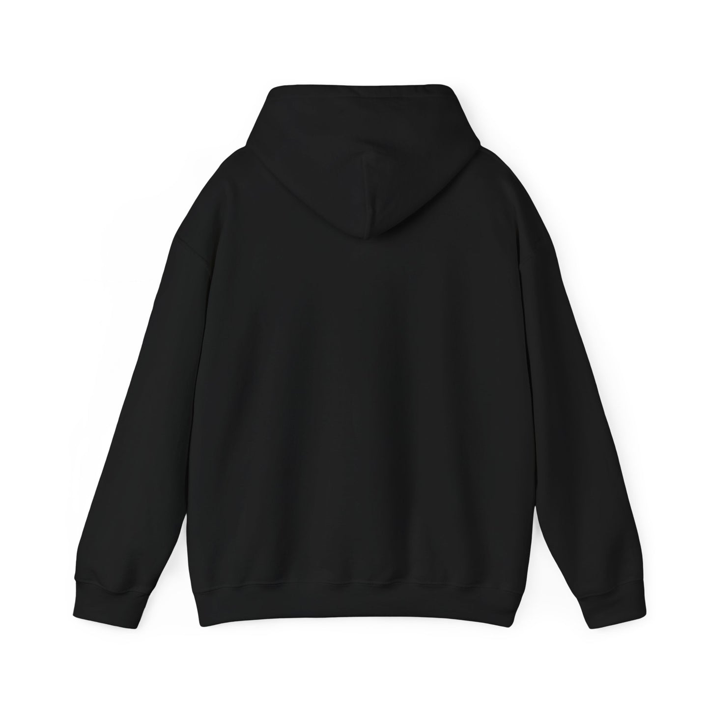 Pinyon Pictures Hoodie