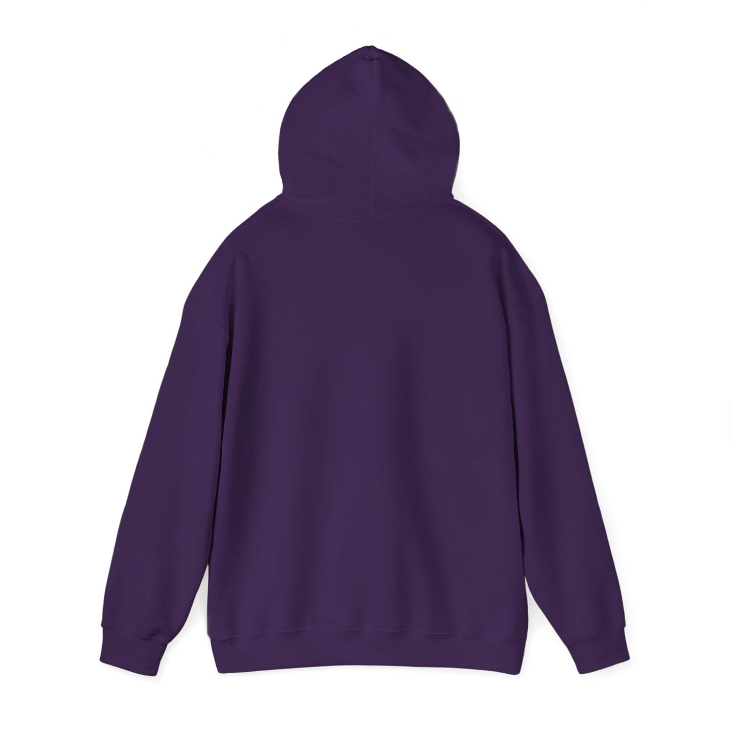 Pinyon Pictures Hoodie